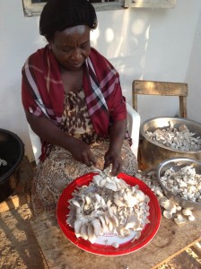 Mabel Harvesting Mushrooms