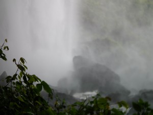 Sipi base of falls