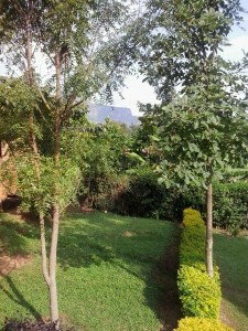 Mnt Elgon